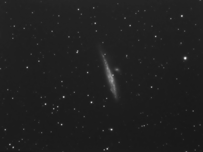 NGC4631 - La baleine Ngc46311