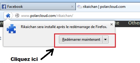  [Outil] Rikaichan, dictionnaire de japonais pour Firefox et Chrome 0310