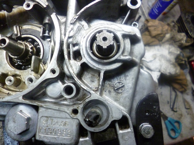 nettoyage carburateur - Stage de remise en forme pour une SL Rouerguate - Page 24 P1040228
