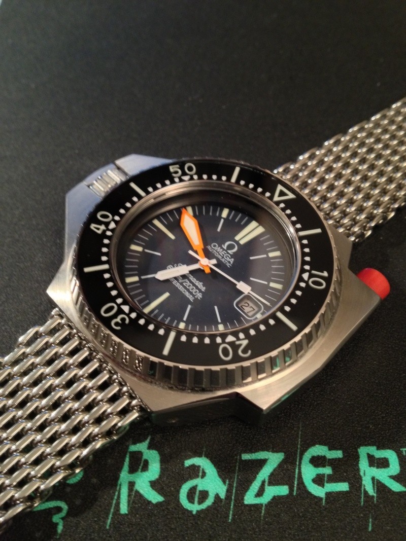 L'Omega Ploprof Omega_10