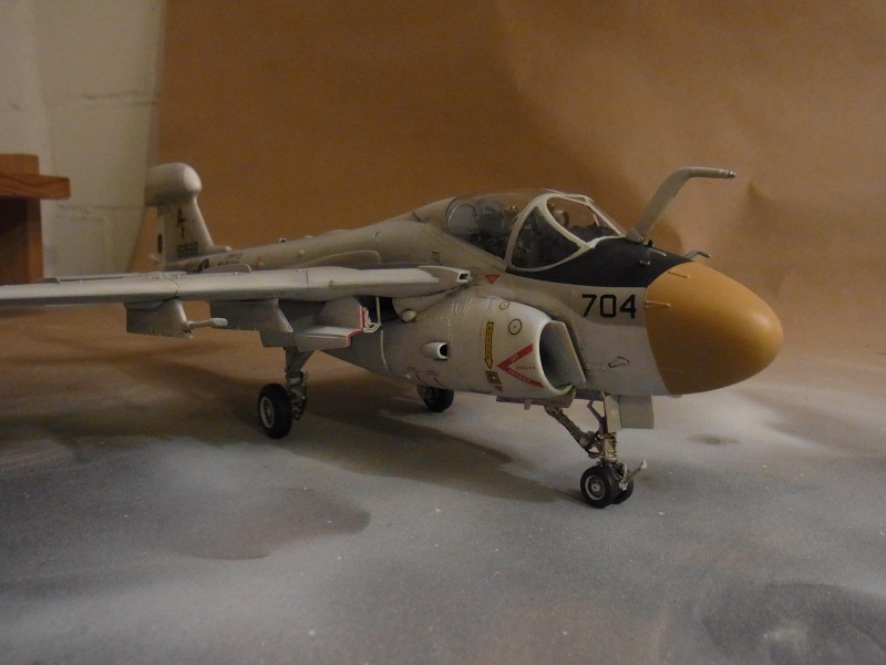 Grumman EA-6A Wild Weasel / Revell, 1:48 Rimg0034