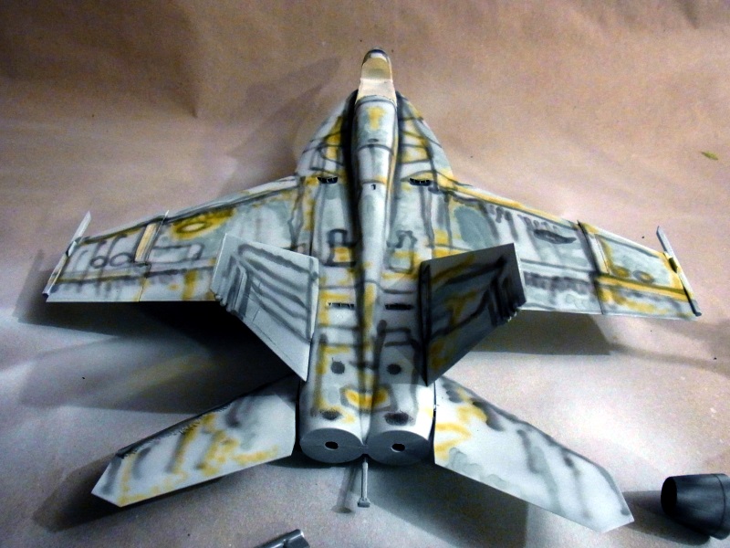 A-4E Skyhawk (Trumpeter) in 1:32 & F/A 18 E Super Hornet (Revell) 1:48 Rimg0151