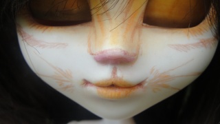 -Le petit monde du Chat- New Make up -Arc en ciel- [Pullip] Dsc06611