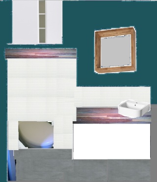que faire avec mes toilettes ? Prop_n11