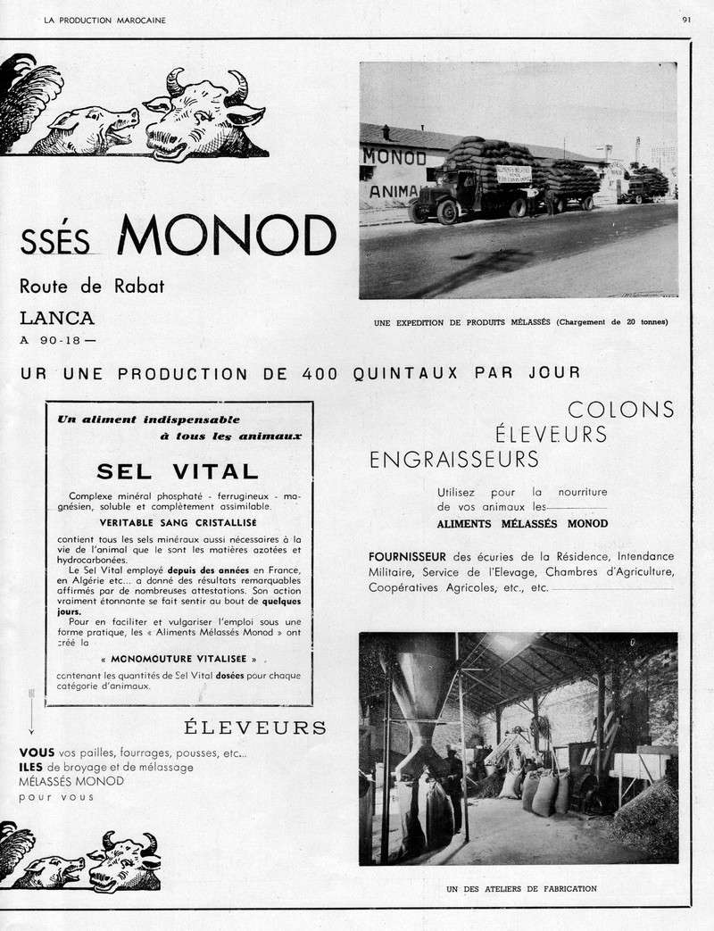 LA PRODUCTION MAROCAINE - Page 4 13-sca12