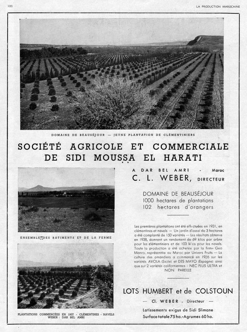 LA PRODUCTION MAROCAINE - Page 4 22-sca12