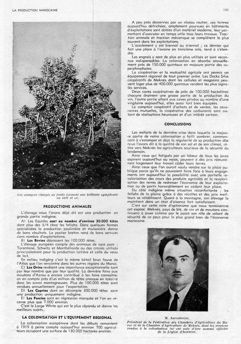 LA PRODUCTION MAROCAINE - Page 5 27-sca11