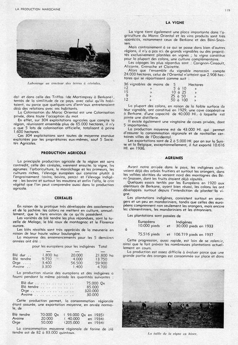 LA PRODUCTION MAROCAINE - Page 5 41-sca11