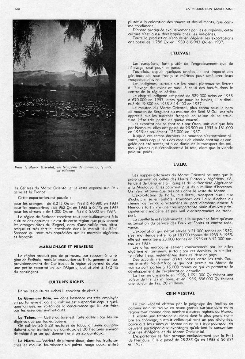 LA PRODUCTION MAROCAINE - Page 5 42-sca11