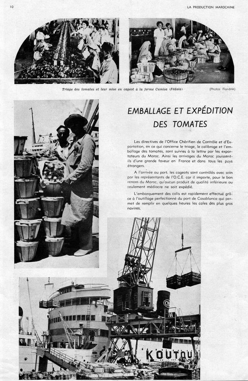 LA PRODUCTION MAROCAINE 9-scan10