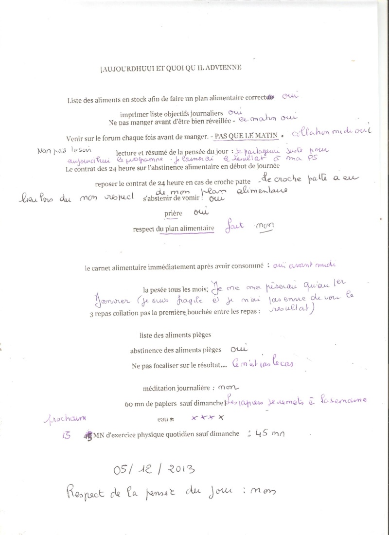 journal de mes objectif sass du 05/ au 09/12 Aujour11