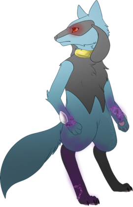 Taph the Undead Riolu (Meteor, Hoenn) Taph12