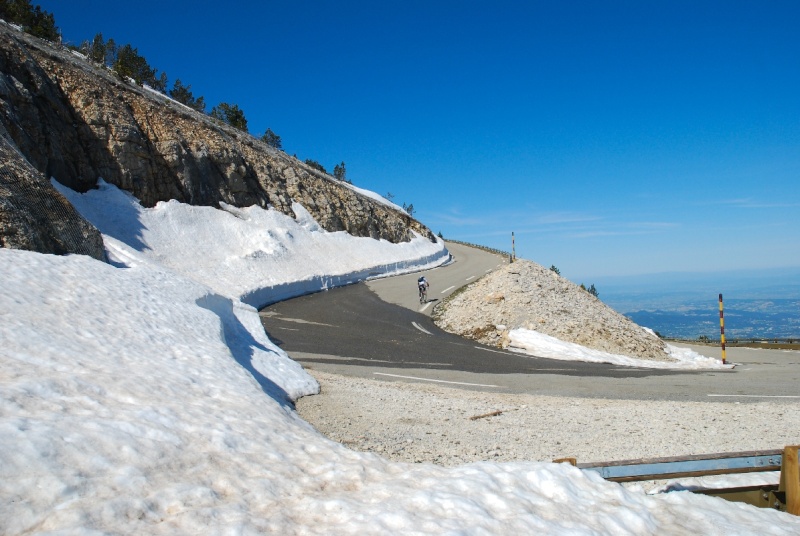 Mont Ventoux et quelques fleurs Dsc_0034