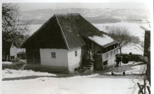 Kuće koje su bile u Donjem Višnjiku od 1945-2014 godine 1 dio Img04510