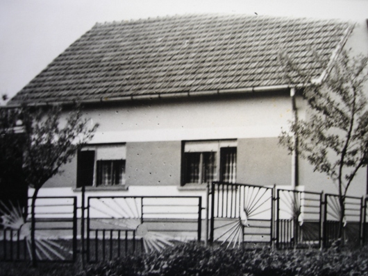 Kuće koje su postojale u Donjem Višnjiku od 1945-2014 godine 2 dio Pictur43