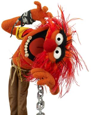 TNT Tony's muppet  DC is saying any second now !!!! ARE YOU ALL READY ??? Animal10