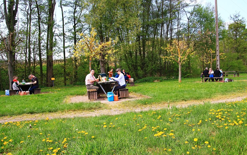 CR et photos sortie "vignoble alsacien et MONTAGNE" dimanche 13 avril 2014  Img_8314