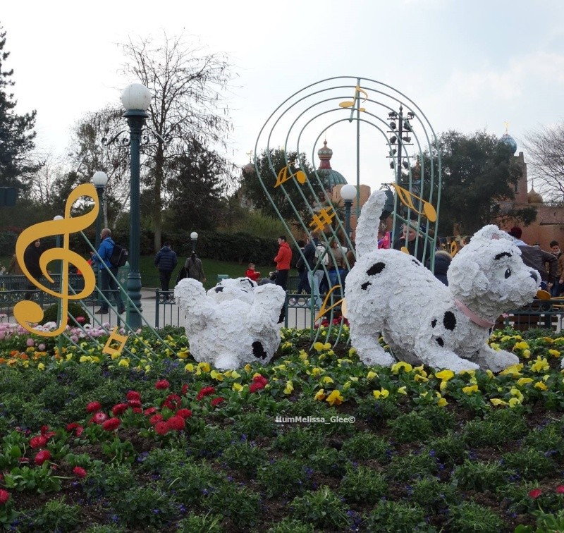 Festival du printemps 2014 (Disneyland Park) - Page 8 10168610