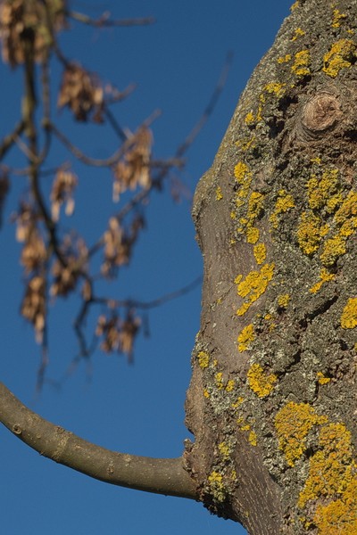 POTD- Lumix du 12/02/2014 P1090615