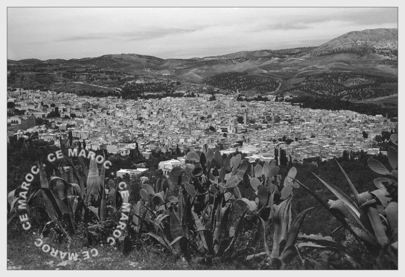  Fez : hors des murs. 4510