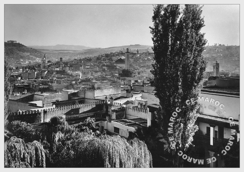 Fez : dans les murs. 4711