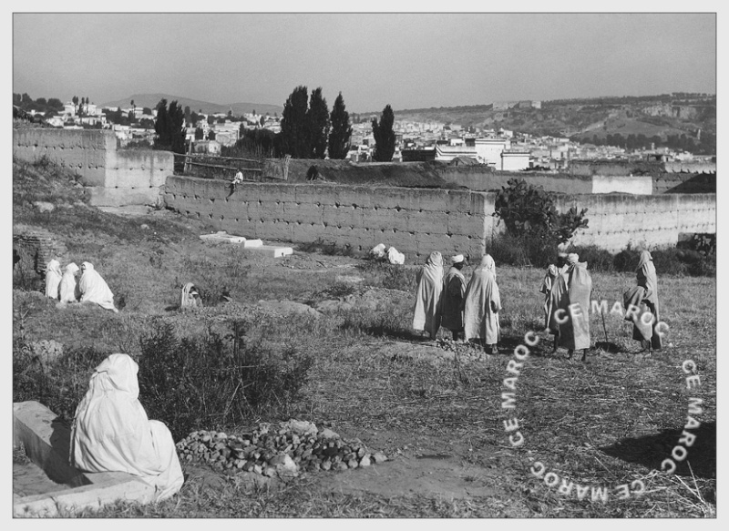 Fez : hors des murs. 4912