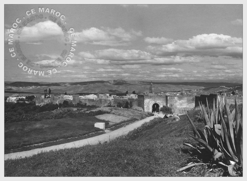 Fez : hors des murs. 5211