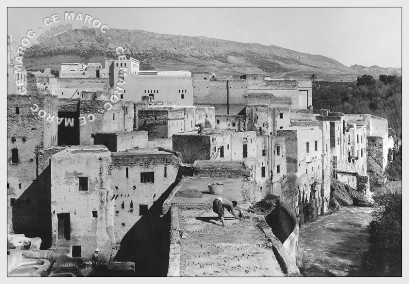 Fez : les tanneurs et l'artisanat du cuir. 5310