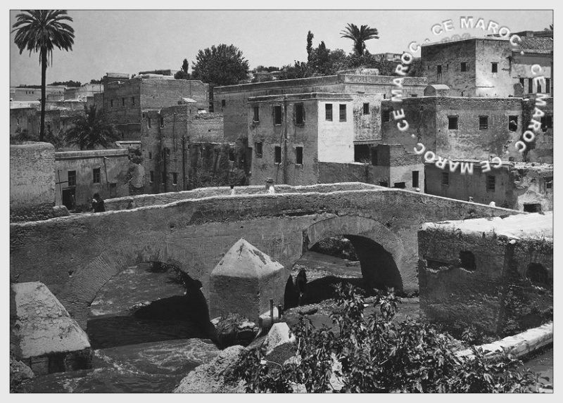 Fez : dans les murs. 6310