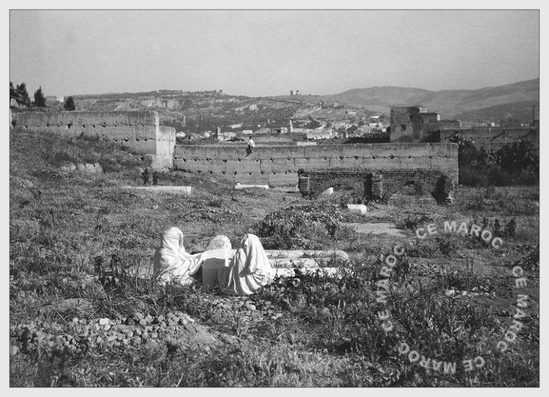 Fez : hors des murs. 7512