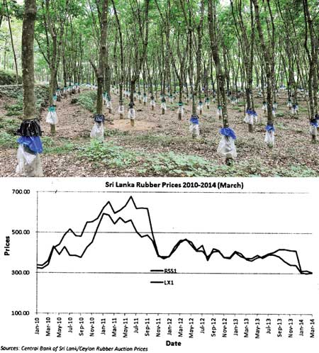 Sri Lanka rubber growers hit by plunging prices 10187110