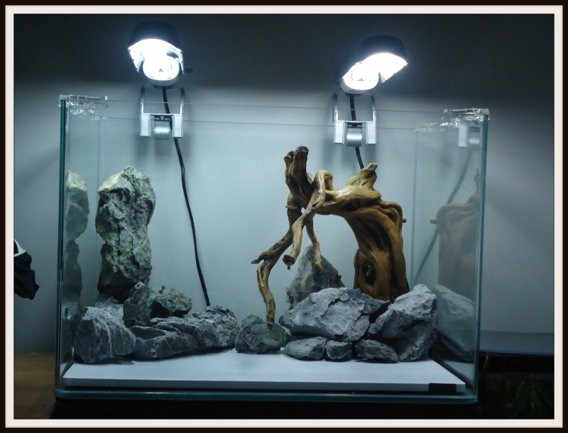 Aquascaping Scaper's Tank Dennerle "The end less way" 1113