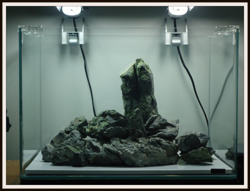 Aquascaping Scaper's Tank Dennerle "The end less way" 1313