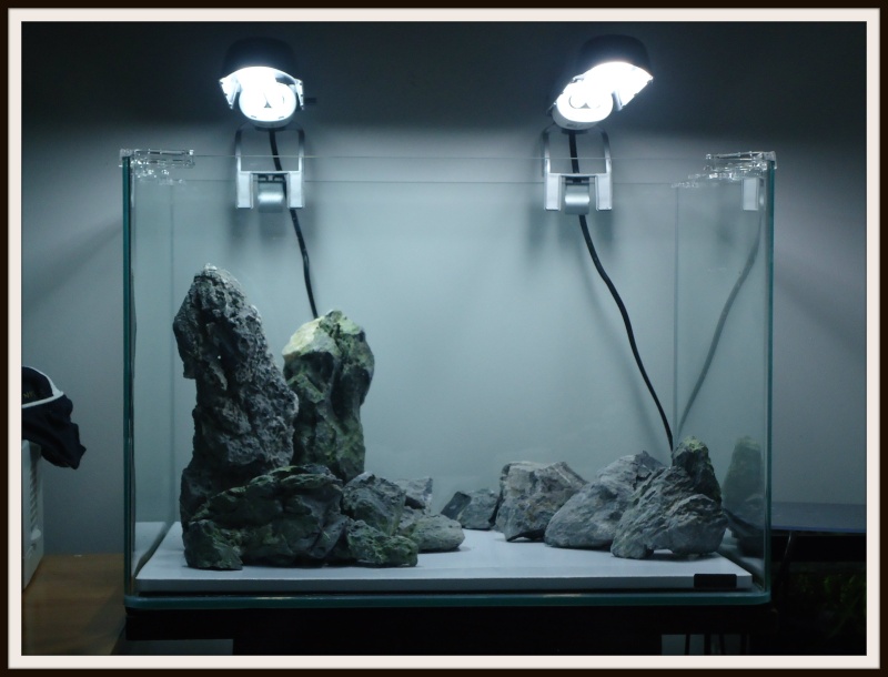 Aquascaping Scaper's Tank Dennerle "The end less way" 317