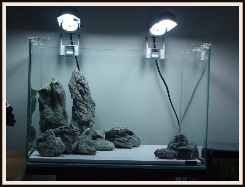 Aquascaping Scaper's Tank Dennerle "The end less way" 416