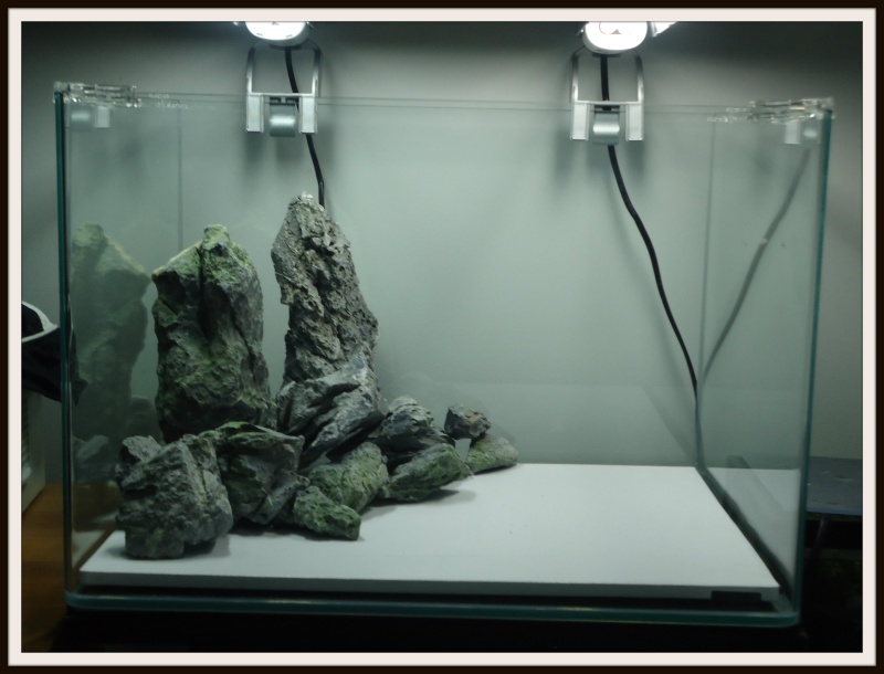Aquascaping Scaper's Tank Dennerle "The end less way" 516