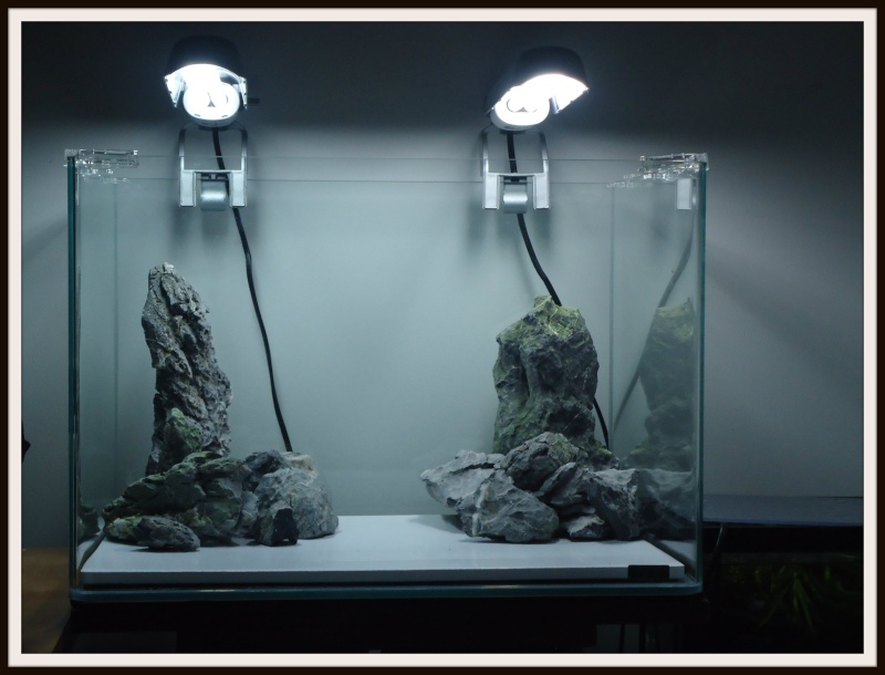 Aquascaping Scaper's Tank Dennerle "The end less way" 617