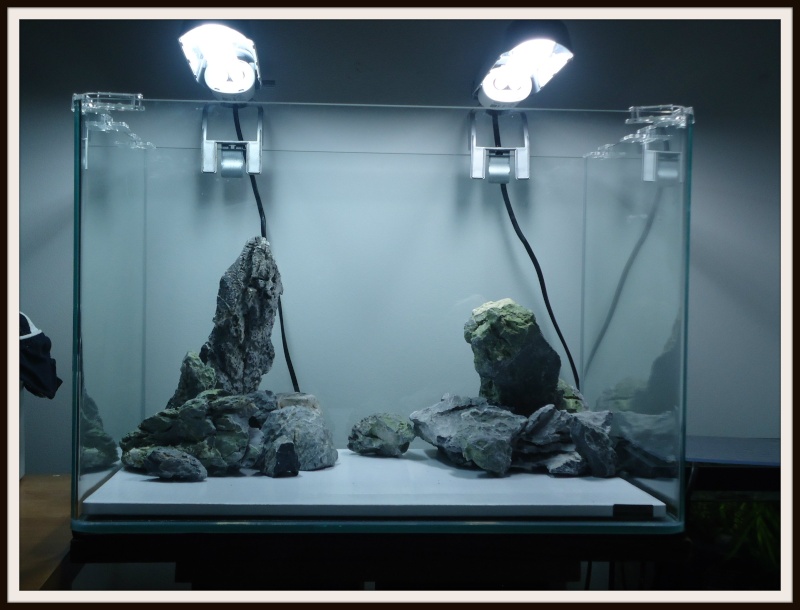 Aquascaping Scaper's Tank Dennerle "The end less way" 715