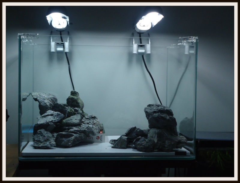 Aquascaping Scaper's Tank Dennerle "The end less way" 914