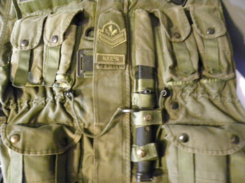 Frag vest and load bearing vest Dscn8626