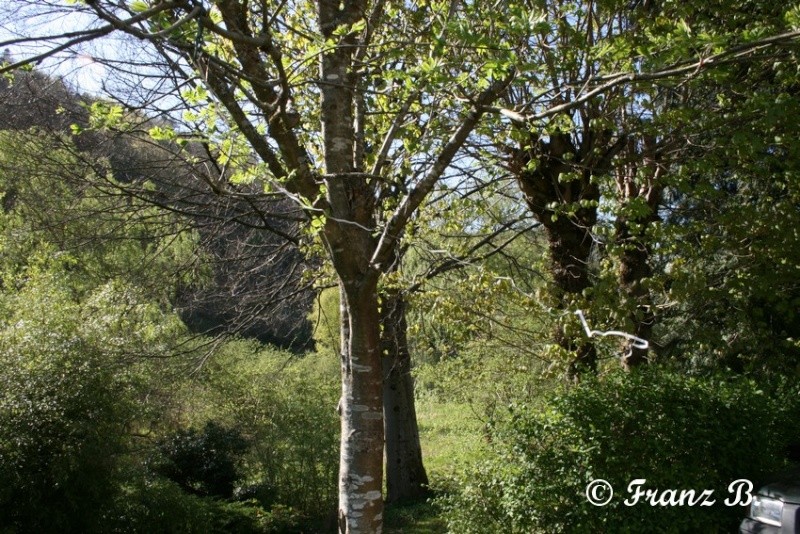 Trucs et Astuces !!! - Page 5 Img_5321