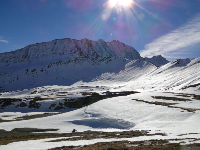 La Ville des Glaciers - Col de la Seigne Dsc02746