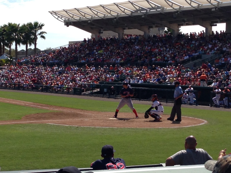 Take Me Out to the Ball Game Img_3810