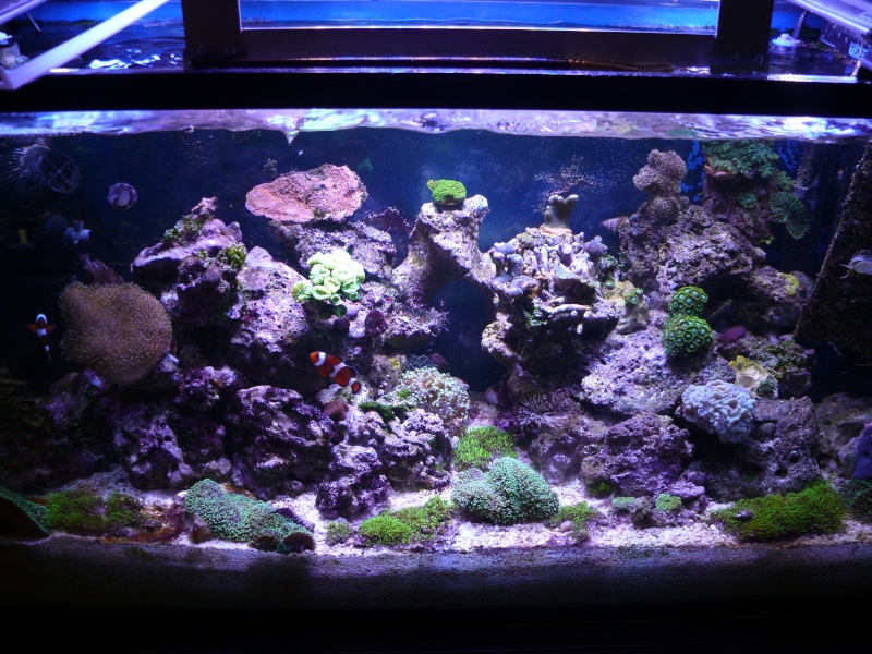 Projet 200L P1600210