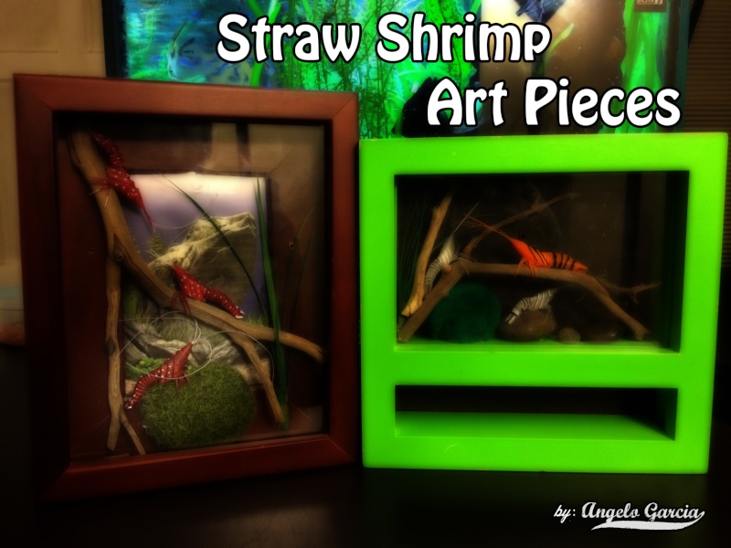 Fishy Arts and Crafts! Straw_10