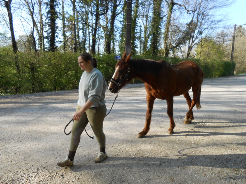 LORETTE - ONC selle née en 1998 - adoptée en mars 2014 par galatéwouindy - Page 3 Dscn1312