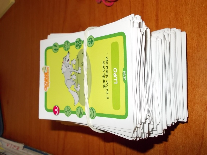 170 carte circa di giovani esploratori carte in cartoncino laminato IPER  00510