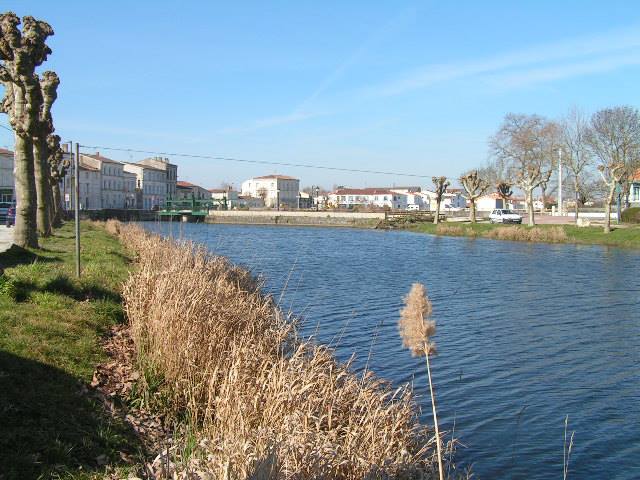 Location Saujon, 17600 Saujon (Charente Maritime) 97068110