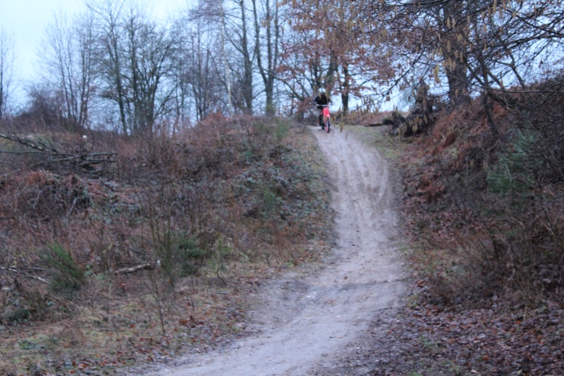 [88 - Vosges ] Terrain Sauvage NoName Img_0011