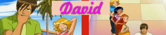 Les continuités dans la série David10